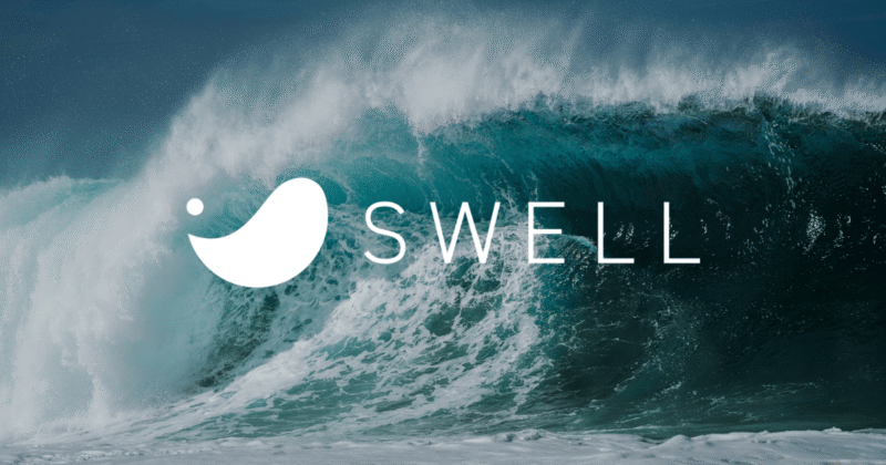 SWELLでECサイトは作れる？結論と知っておきたい2つの実現方法